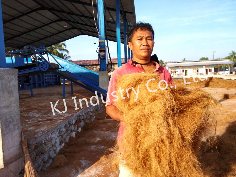 High quality coir fiber